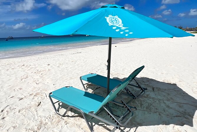 Ultimate Barbados Beach Day And Snorkel Cruise - Who will enjoy this Barbados beach day