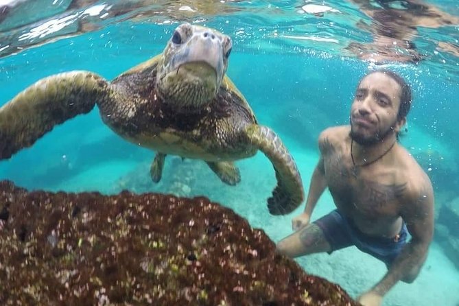 Ultimate Ocean Encounters Midday Snorkel - A 1 p.m. start from Kailua-Kona
