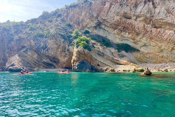 Uncharted Marine Reserve Cave, Snorkel & Cliff Jumping Kayak Tour - Is the $60.49 price fair?