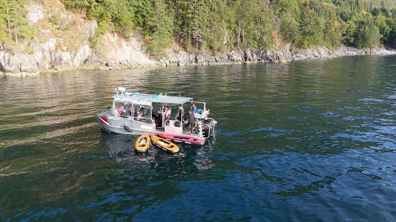 Vancouver: Snorkeling Seals Kayaking Scenic Boat Tour - Comfort, Safety, and the Right Pace