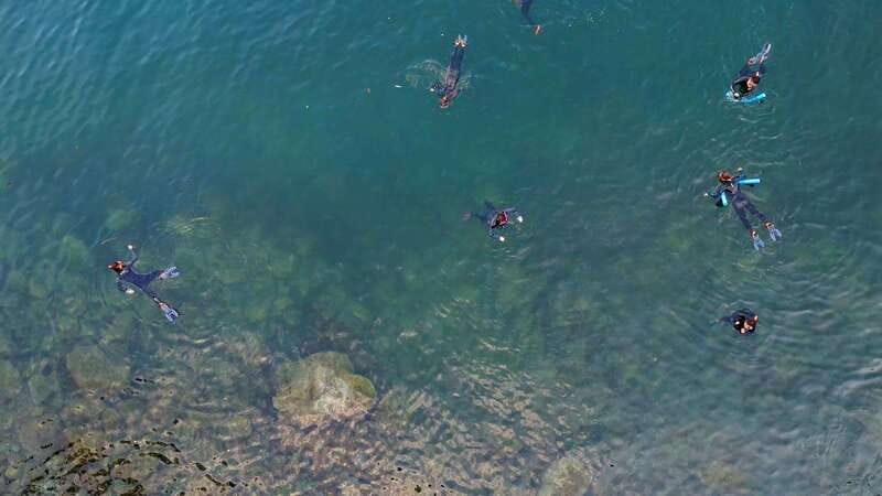Vancouver: Snorkeling Seals Kayaking Scenic Boat Tour - Which Season Should You Choose?