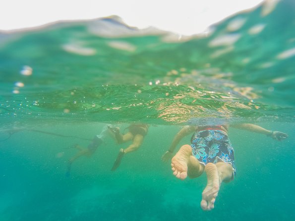 Viator Exclusive: Tulum Ruins, Reef Snorkeling, Cenote and Caves - Who will enjoy this day most