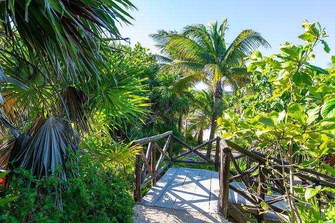 Viator Exclusive: Tulum Ruins, Reef Snorkeling, Cenote and Caves - Should you book this Tulum and cenote tour?