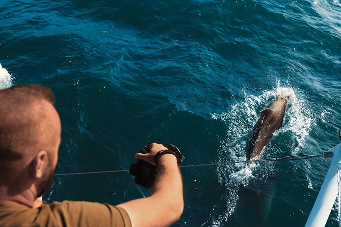 VIP Catamaran 4 hour Activity with Snorkeling in Bulgaria - Morning or afternoon: which should you choose?