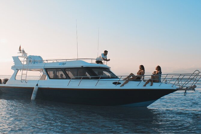 VIP Private Boat to Nusa Penida: Snorkeling with Mantas + Land Tour Adventure - Why this Nusa Penida day trip costs so much