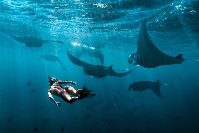 VIP Private Boat to Nusa Penida: Snorkeling with Mantas + Land Tour Adventure - The crew service adds practical value