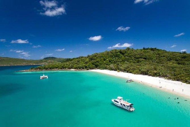 Viper: Great Barrier Reef Snorkel Including Whitehaven Hill Inlet - What lunch and refreshments are really like