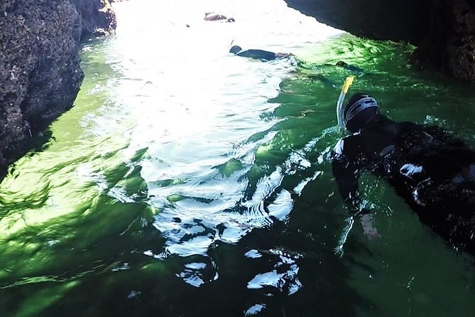 Visit Secret Caves, Hidden Beaches and Snorkel in Alvor, Portugal - Who should book it