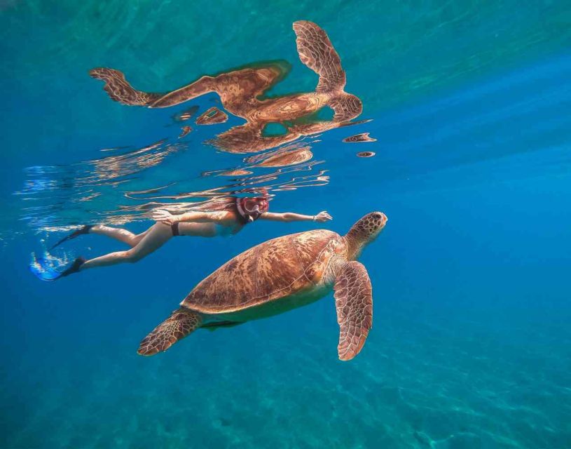 Waikiki: 5-in-1 Turtle Snorkeling Trip with Shuttle Option - Kayaks, paddleboards, and the trampoline
