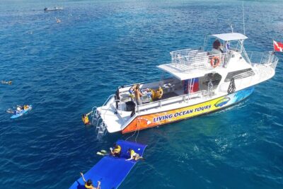 Waikiki, Hawaii: Turtle Canyon Snorkel Excursion