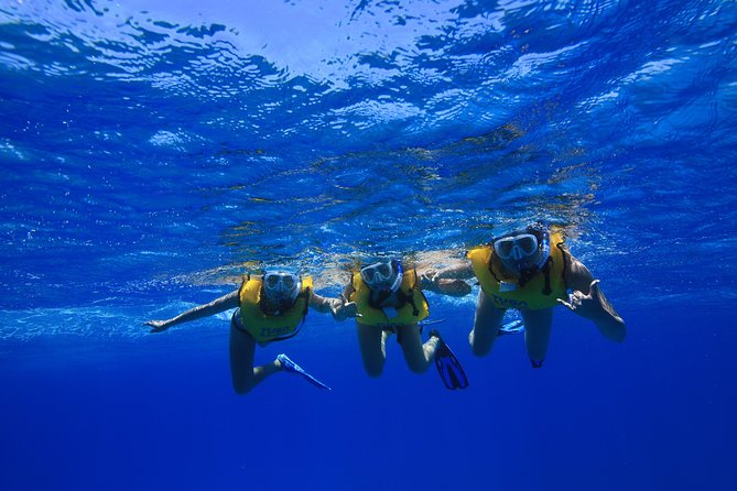 Waikiki, Hawaii: Turtle Canyon Snorkel Excursion - The Diamond Head view on the way back