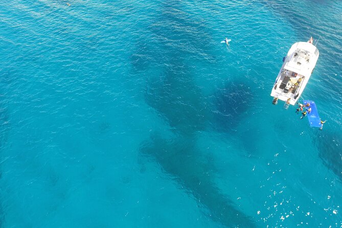 Waikiki, Hawaii: Turtle Canyon Snorkel Excursion - Practical details before you book