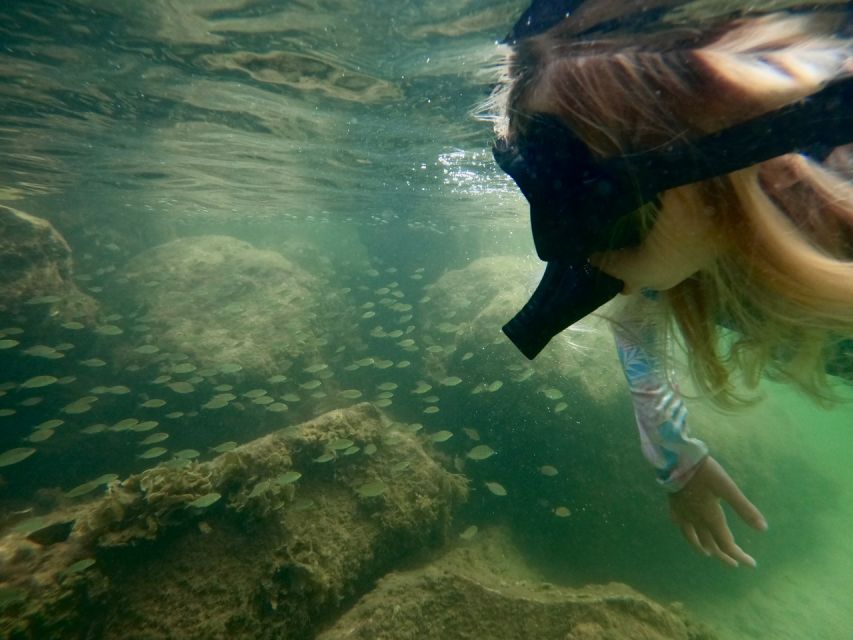 Waikiki: Honolulu Beginner Snorkeling Tour with Videos - Key Points About This Magic Island Experience