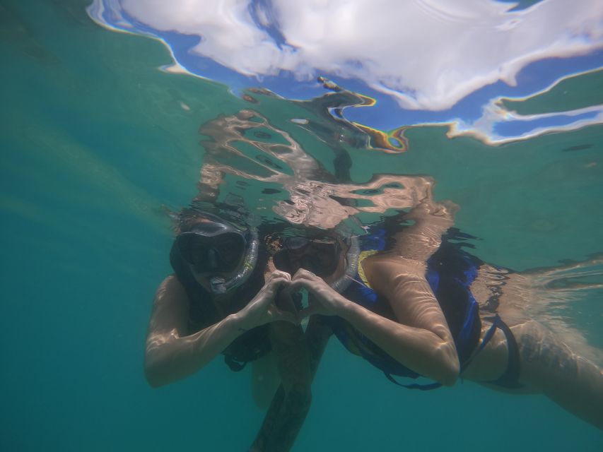 Waikiki: Honolulu Beginner Snorkeling Tour with Videos - The Marine Life You Might See