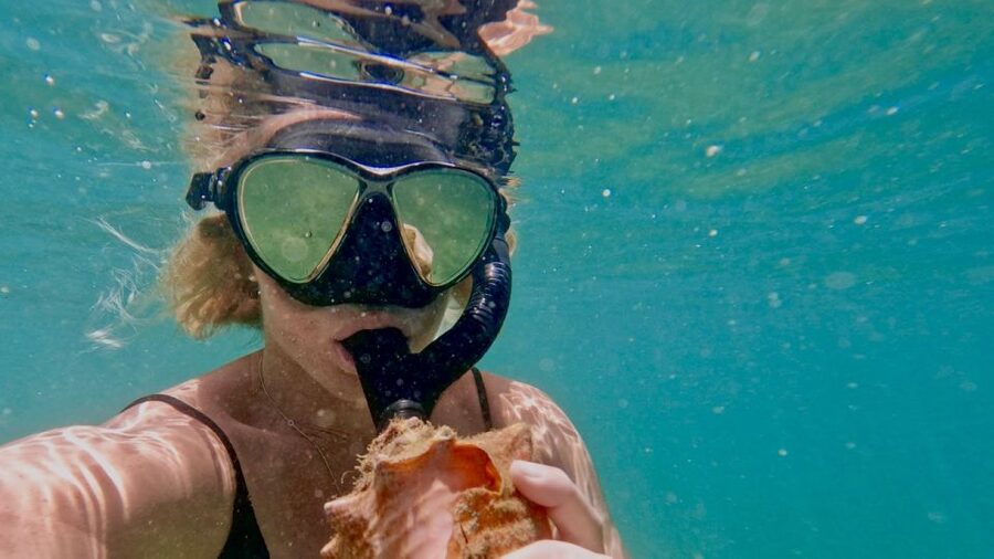 Waikiki: Honolulu Beginner Snorkeling Tour with Videos - Practical Ways to Get More From the Session
