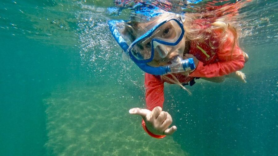 Waikiki: Honolulu Beginner Snorkeling Tour with Videos - Should You Book the Waikiki Beginner Snorkeling Tour?