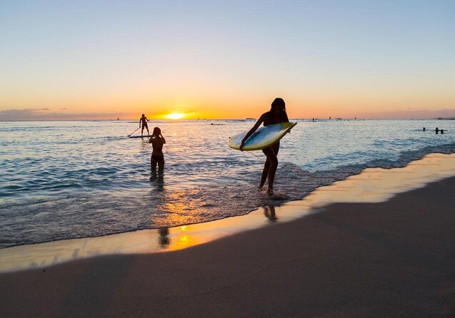 Waikiki: Turtle Canyon Snorkel - Key points to know before booking
