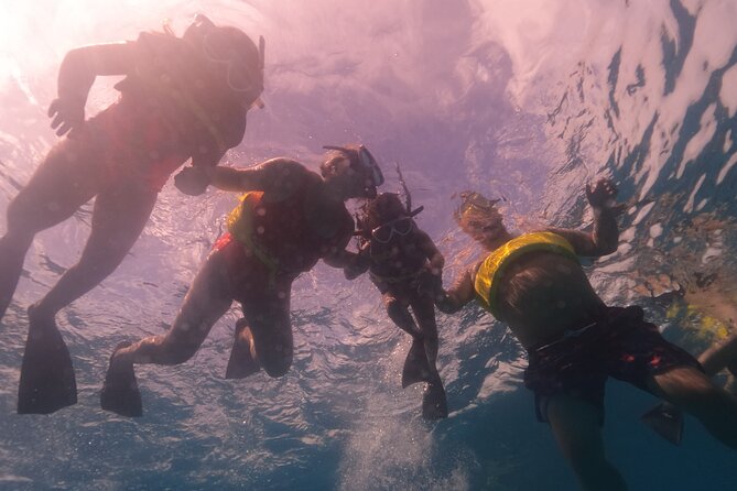 Waikiki: Turtle Canyon Snorkel - The open-ocean swimming requirement matters