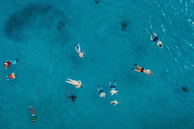 Waikiki: Turtle Canyon Snorkel - Is $68.60 a good price?