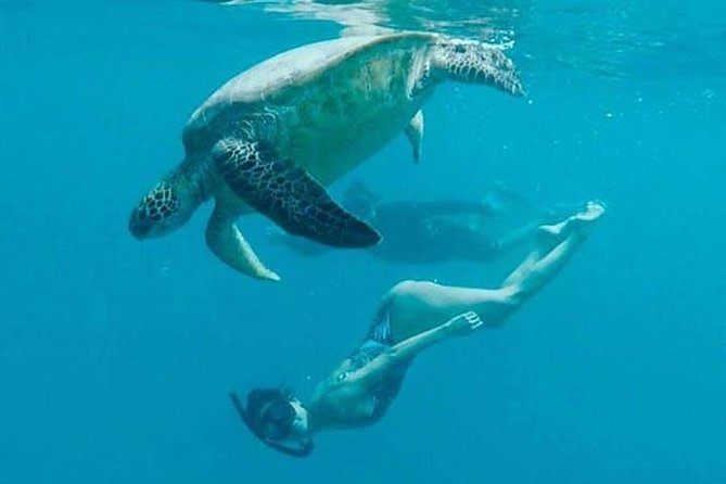 Waikiki Turtle Snorkel and Sail on Hawea Catamaran - Setting Out From the Duke Kahanamoku Statue
