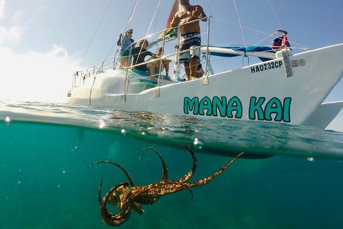 Waikiki Turtle Snorkel and Sail on Hawea Catamaran - Turtle Canyon and the Search for Sea Turtles