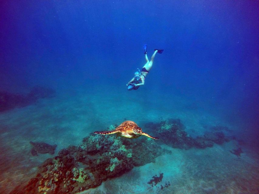 Wailea Beach: Guided Sea Scooter Snorkeling Tour - Key Points Before You Book