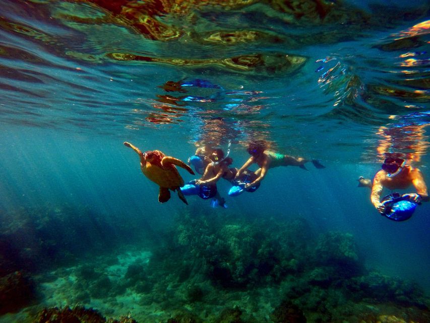 Wailea Beach: Guided Sea Scooter Snorkeling Tour - FAQ