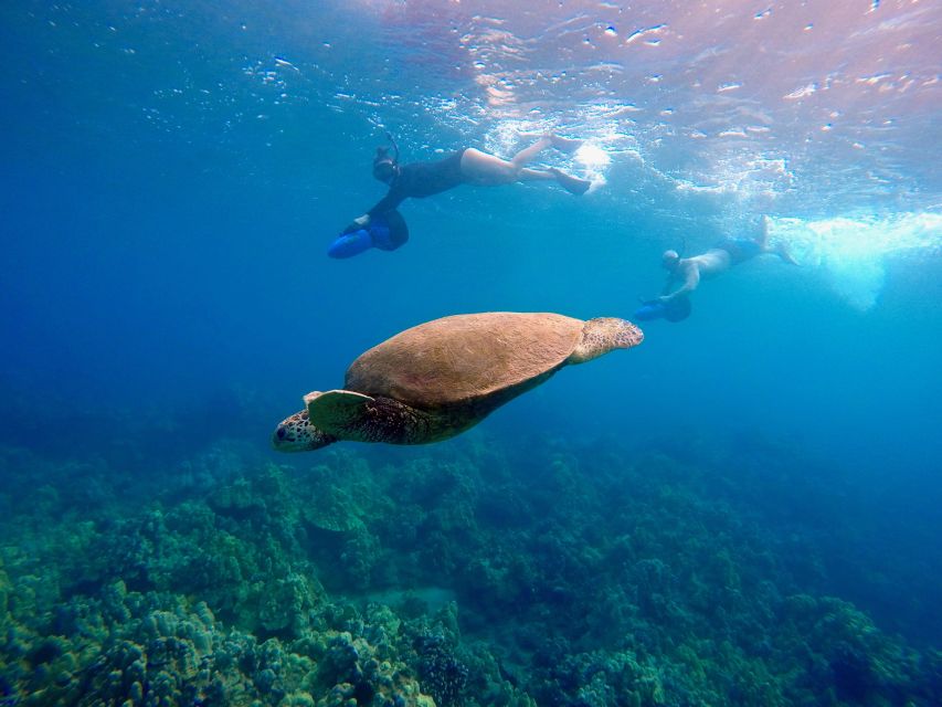 Wailea Beach: Guided Sea Scooter Snorkeling Tour - Seventy Minutes Along Wailea’s Coral Reefs