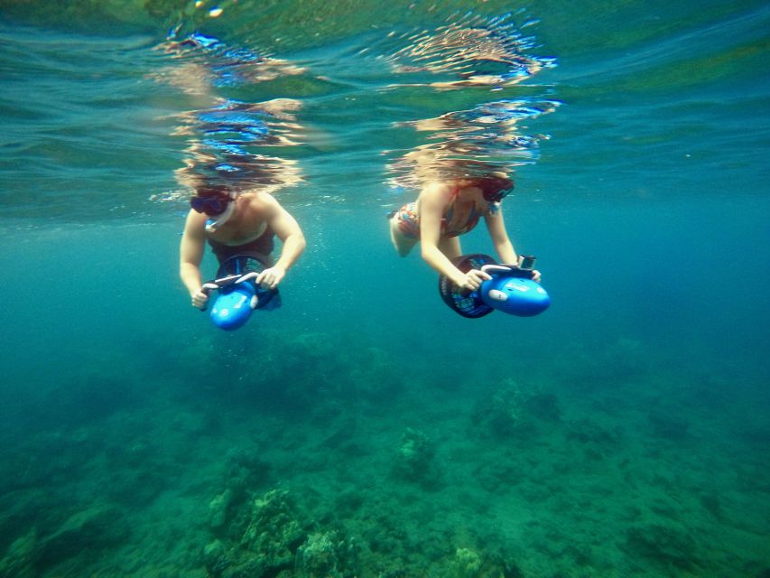 Wailea Beach: Guided Sea Scooter Snorkeling Tour - What You Might See Beneath the Surface