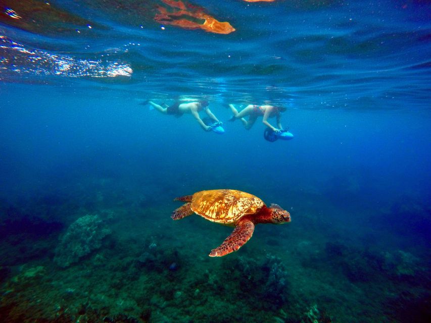 Wailea Beach: Guided Sea Scooter Snorkeling Tour - Why Two Guides Make a Difference