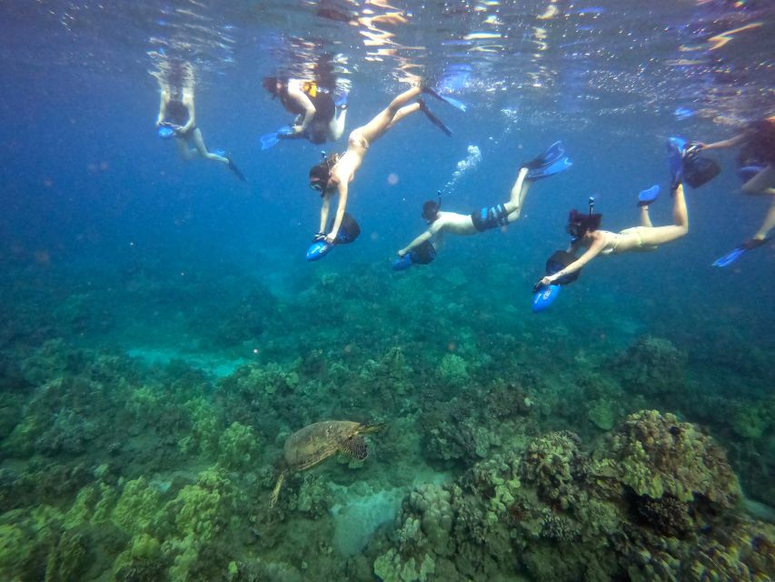 Wailea Beach: Guided Sea Scooter Snorkeling Tour - Who Should Book, and Who Should Skip It