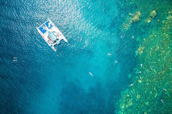West Maui Half Day Snorkel from Ka’anapali Beach - Key things to know before booking