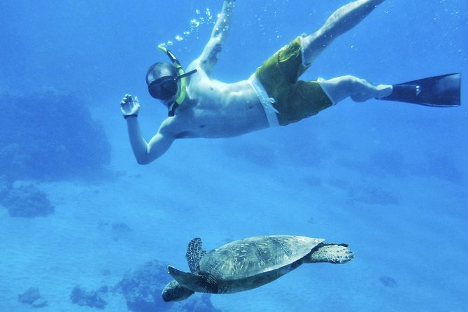 West Maui Half Day Snorkel from Ka’anapali Beach - Meeting the boat at Ka’anapali Beach