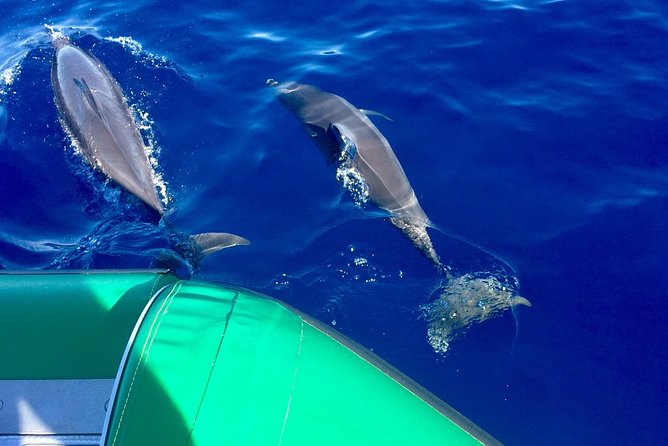 West Maui Snorkeling Experience by Boat from Ka'anapali - Key details before you book