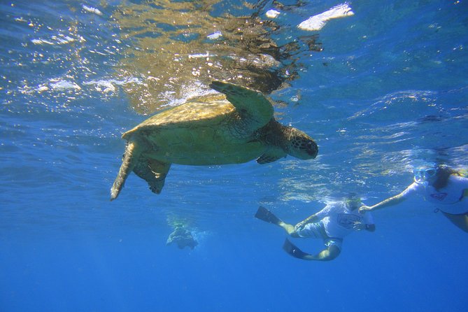 West Maui Snorkeling Experience by Boat from Ka'anapali - Why this Ka’anapali boat trip feels different