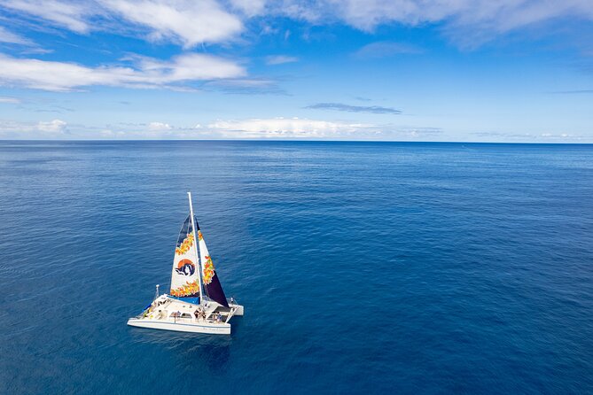 West Oahu Dolphin Watch and Snorkel Sail with Lunch - The west coast stops viewed from the water