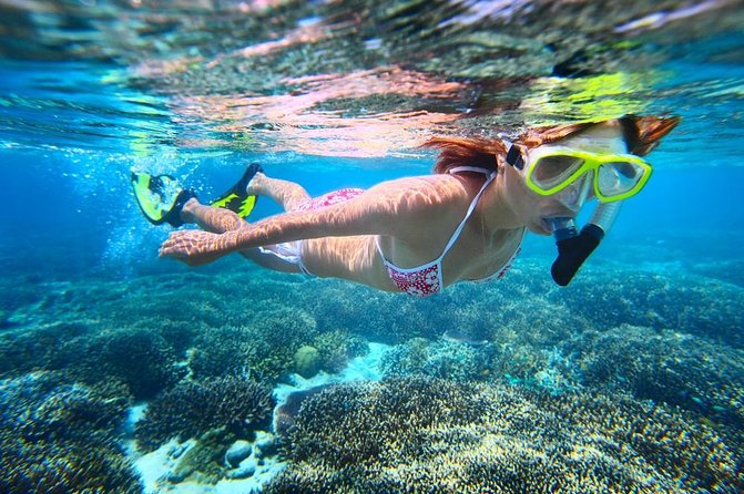 West Oahu Dolphin Watch and Snorkel Sail with Lunch - Getting into the water at the snorkeling site