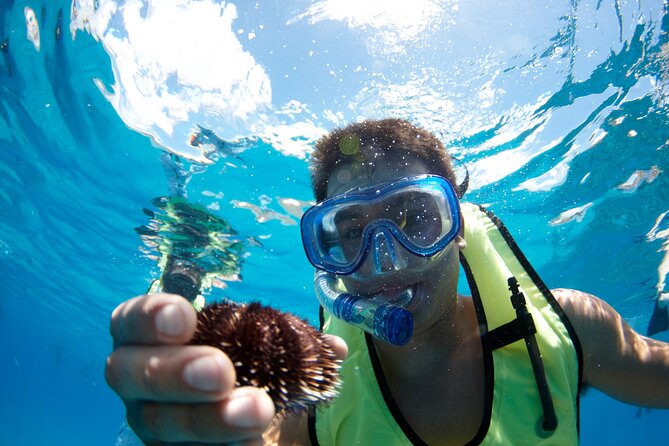 West Oahu Dolphin Watch and Snorkel Sail with Lunch - Who will enjoy this catamaran trip most