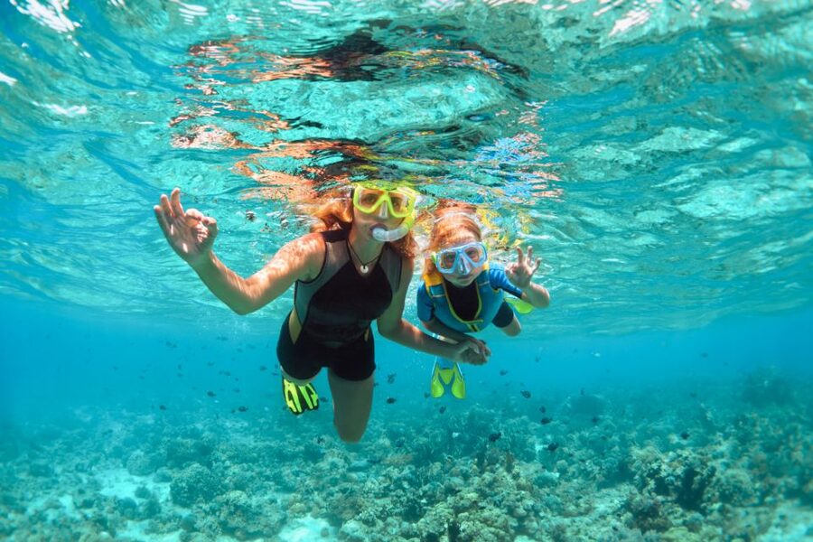 West Oahu: Turtles, Dolphins, and Snorkeling Tour with Lunch - Should you book the West Oahu dolphin and turtle cruise?