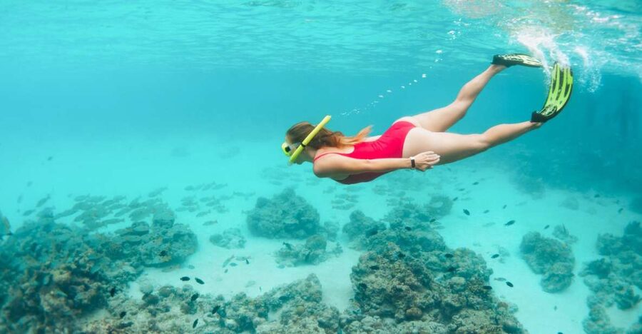 West Oahu: Turtles, Dolphins, and Snorkeling Tour with Lunch - Snorkeling with turtles and reef fish