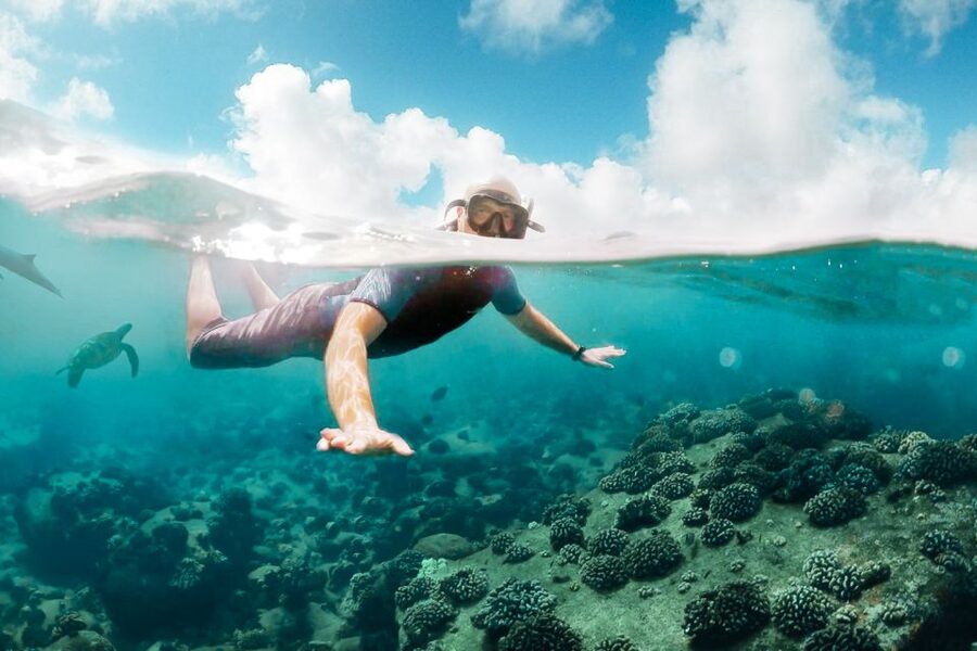 West Oahu: Turtles, Dolphins, and Snorkeling Tour with Lunch - Lunch, cocktails, and the social side of the boat