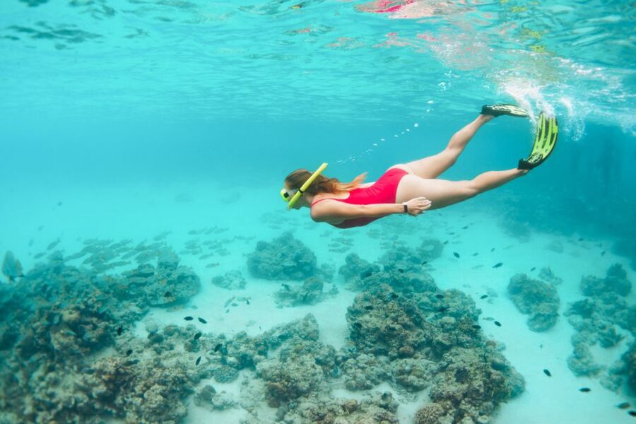West Oahu: Turtles, Dolphins, and Snorkeling Tour with Lunch - Who should book this experience?