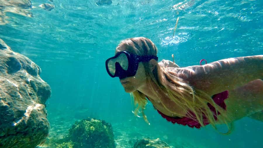 West Palm Beach: Beginner Snorkel Tour with Turtles & Videos - Key points to know before you book