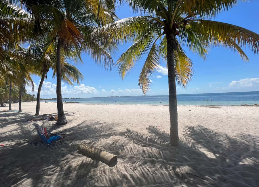 West Palm Beach: Beginner Snorkel Tour with Turtles & Videos - The five to ten-minute beach safety briefing
