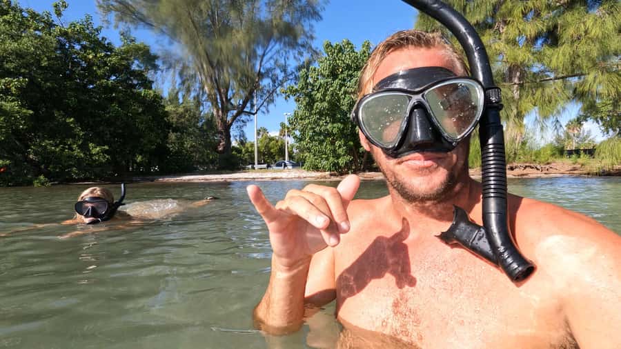 West Palm Beach: Beginner Snorkel Tour with Turtles & Videos - Free videos let you put the phone away