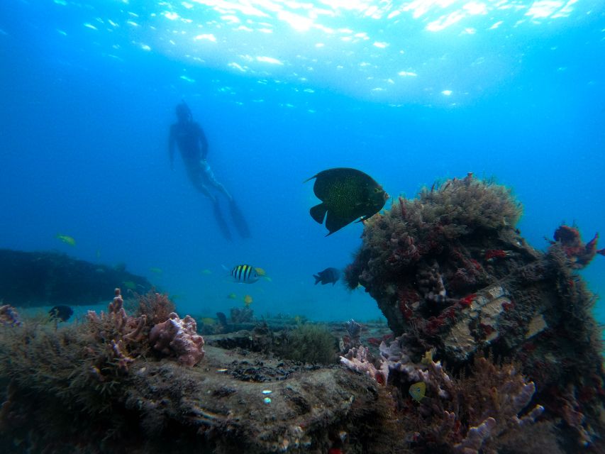 West Palm Beach: Blue Heron Bridge Guided Snorkeling Tour - Why Blue Heron Bridge is a smart snorkeling choice