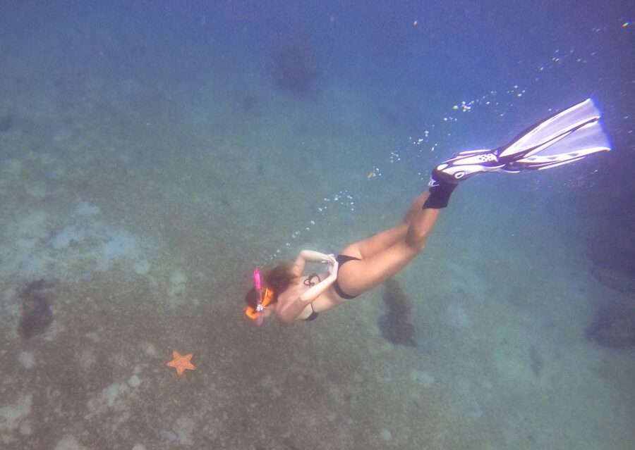West Palm Beach: Blue Heron Bridge Guided Snorkeling Tour - How the $80 price holds up