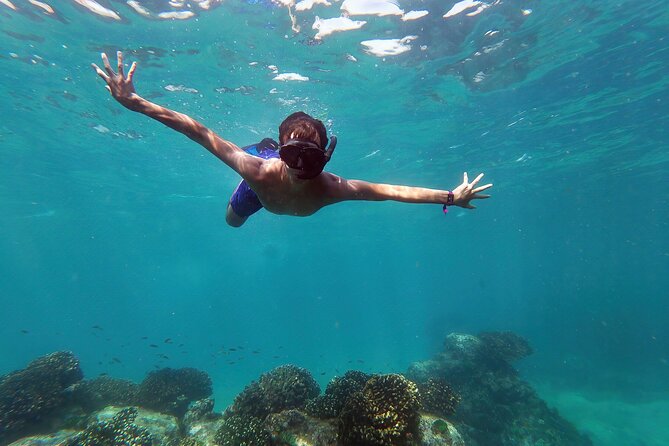 Whale Watching & Snorkeling Combo in Los Cabos with Photos Included - Key points at a glance