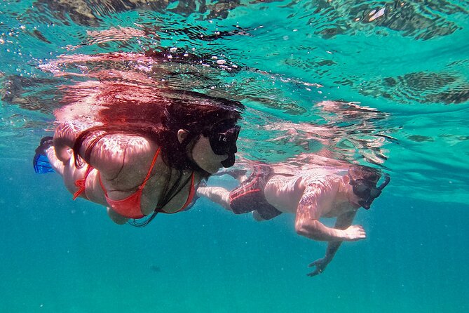 Whale Watching & Snorkeling Combo in Los Cabos with Photos Included - Starting at the Cabo San Lucas marina