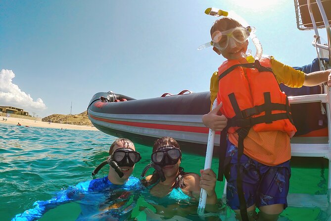 Whale Watching & Snorkeling Combo in Los Cabos with Photos Included - The switch from whale watching to snorkeling